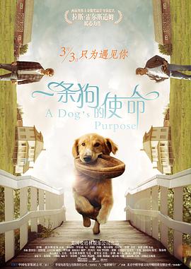 色综合天天
